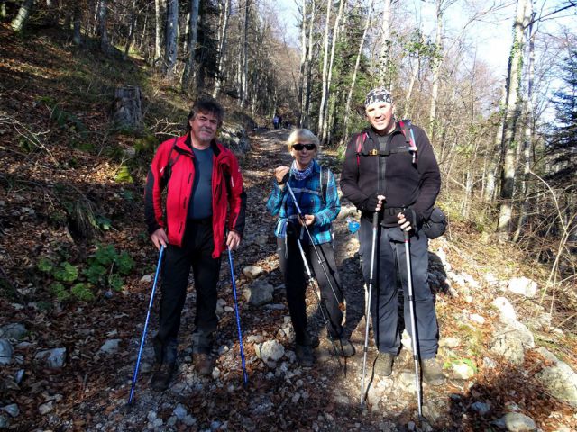 Strahomer-Krim in Vikrče-Šmarna gora-23.11.14 - foto