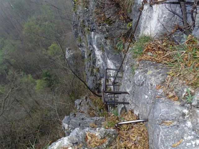 Strahomer-Krim in Vikrče-Šmarna gora-23.11.14 - foto