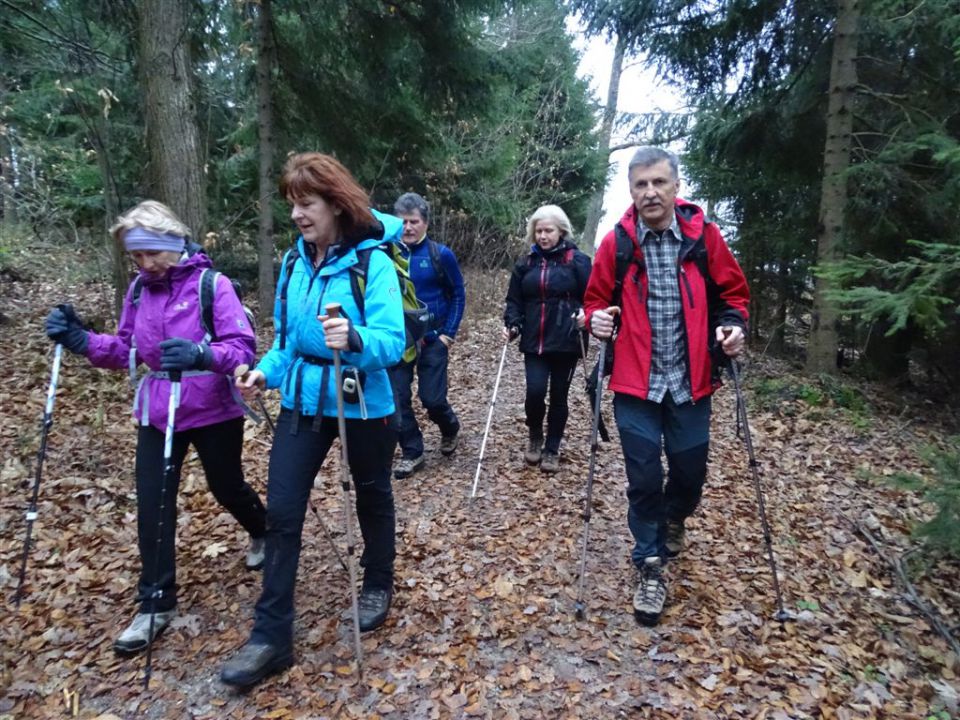 Šmohor-Gozdnik in Zaključek Brili-14.12.14 - foto povečava