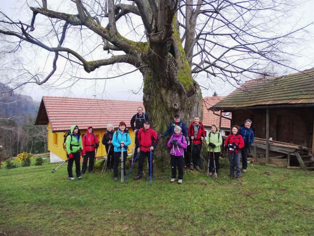 Šmohor-Gozdnik in Zaključek Brili-14.12.14 - foto