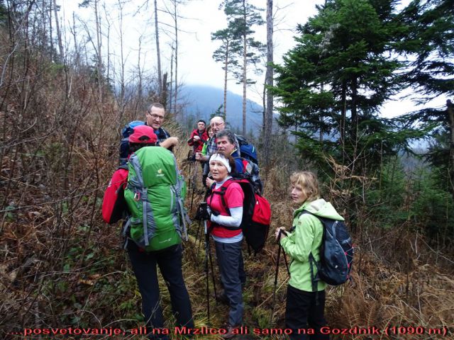 Šmohor-Gozdnik in Zaključek Brili-14.12.14 - foto