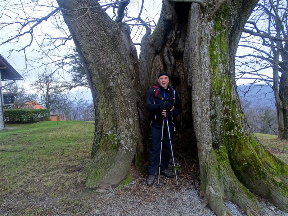 Šmohor-Gozdnik in Zaključek Brili-14.12.14 - foto povečava