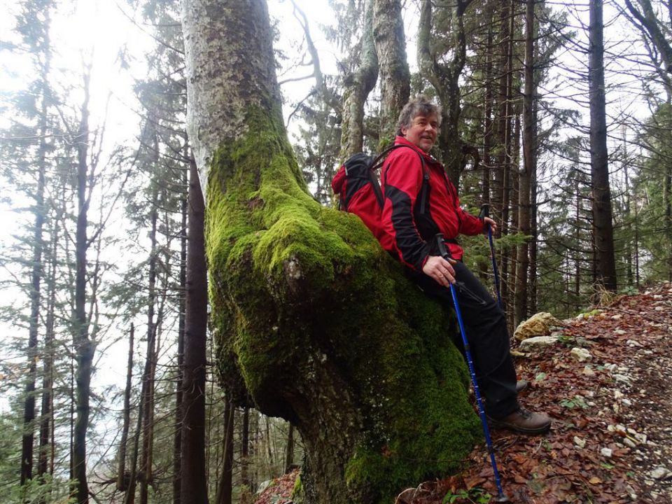 Slopi-Biba-Menina-18.1.2015 - foto povečava