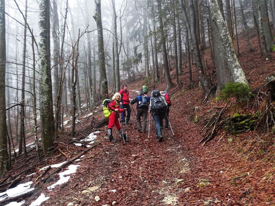 Slopi-Biba-Menina-18.1.2015 - foto povečava