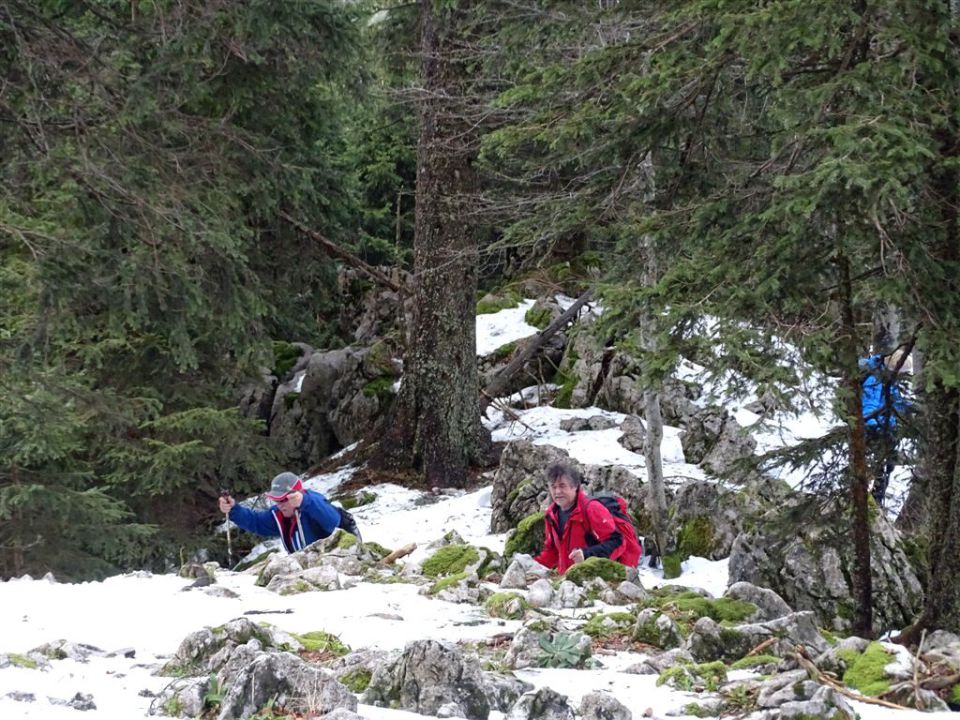 Slopi-Biba-Menina-18.1.2015 - foto povečava