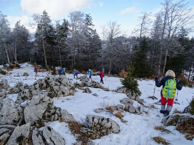 Slopi-Biba-Menina-18.1.2015 - foto