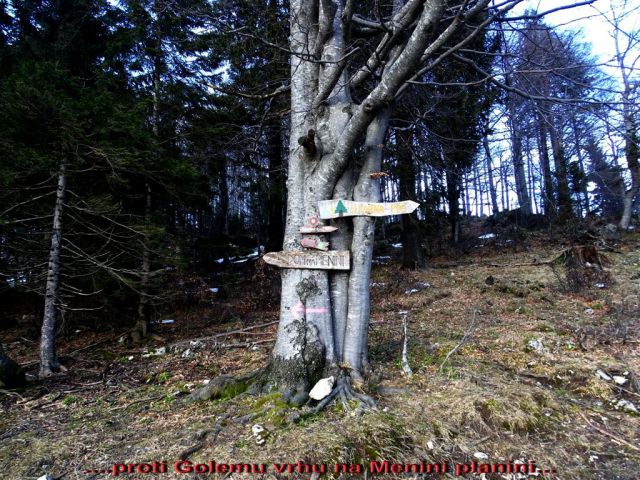 Slopi-Biba-Menina-18.1.2015 - foto