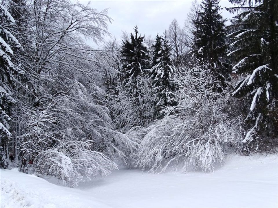 Vinska gora-Ramšakov vrh-Tuševo-1.2.2015 - foto povečava