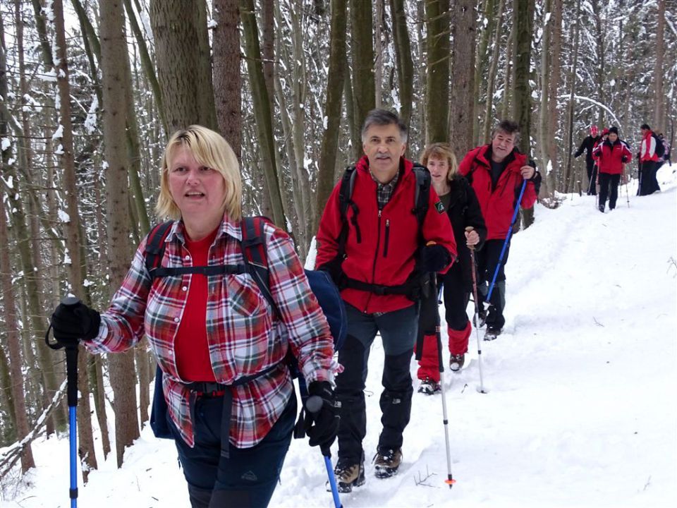 Vinska gora-Ramšakov vrh-Tuševo-1.2.2015 - foto povečava