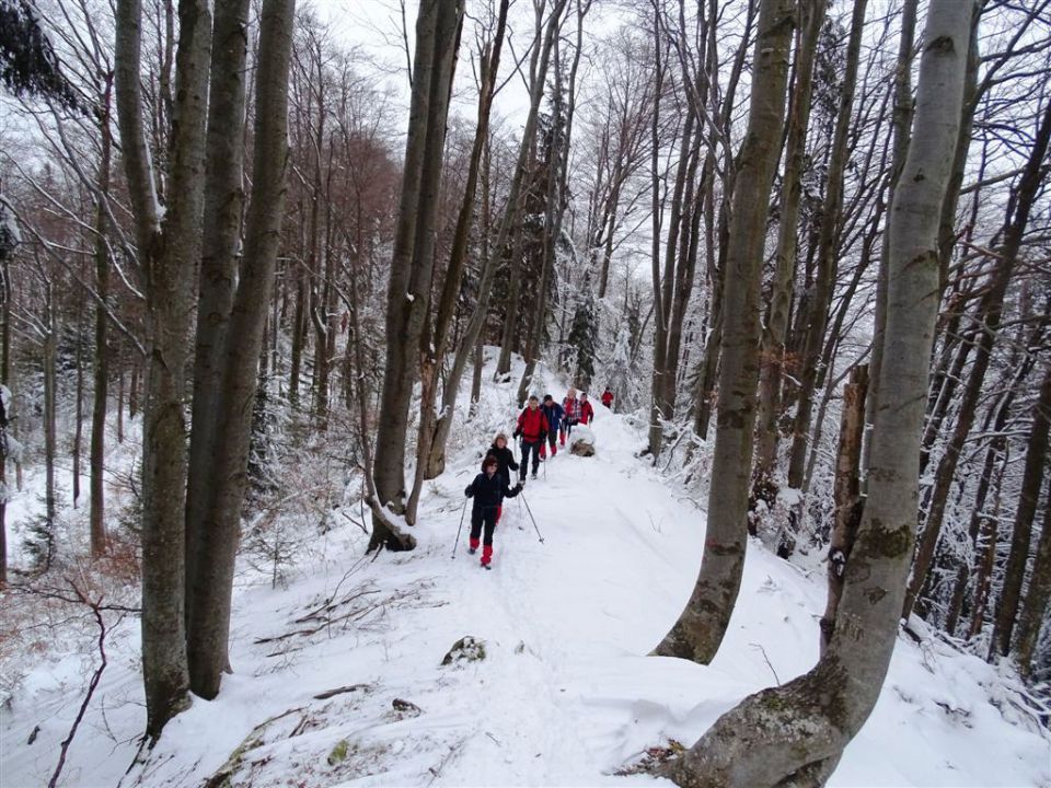 Vinska gora-Ramšakov vrh-Tuševo-1.2.2015 - foto povečava