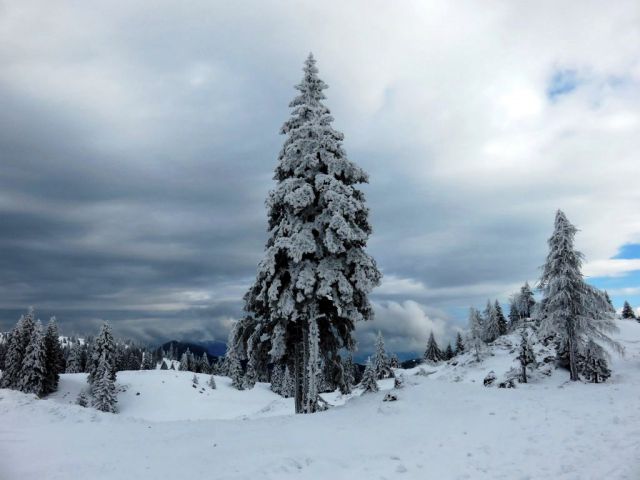 Kranjski Rak-Velika planina-15.2.2015 - foto
