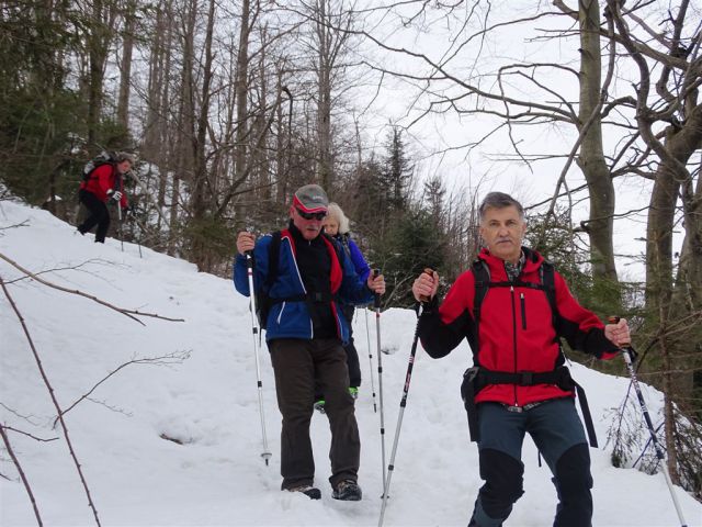 Hleviše, Ermanovec, Bevkov vrh - 1.3.15 - foto