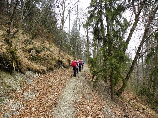 Trojane-Limbarska gora-15.3.2015 - foto