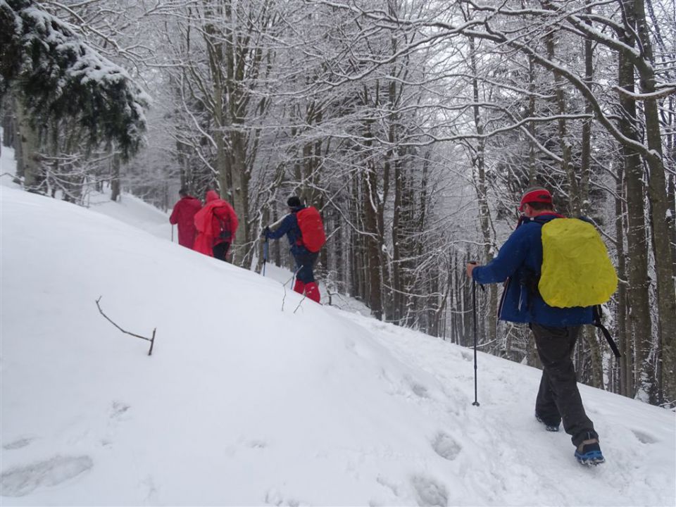 Petrovo brdo-Porezen-22.3.2015 - foto povečava