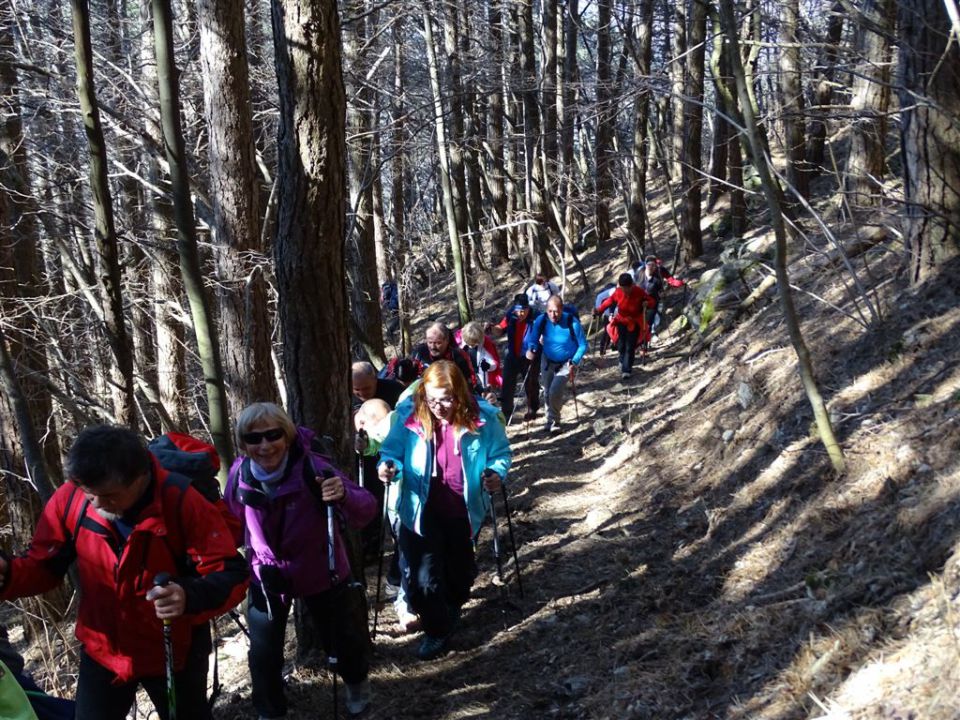 Predmeja-M.Gora-Kucelj-Čaven-Golaki-6.4.15 - foto povečava