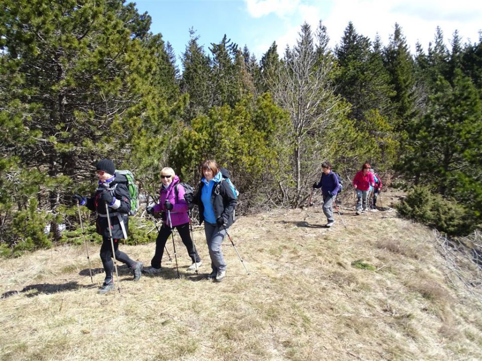 Predmeja-M.Gora-Kucelj-Čaven-Golaki-6.4.15 - foto povečava