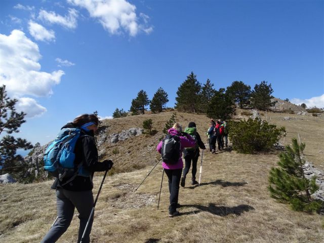 Predmeja-M.Gora-Kucelj-Čaven-Golaki-6.4.15 - foto