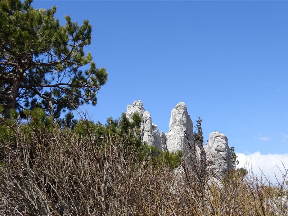 Predmeja-M.Gora-Kucelj-Čaven-Golaki-6.4.15 - foto povečava