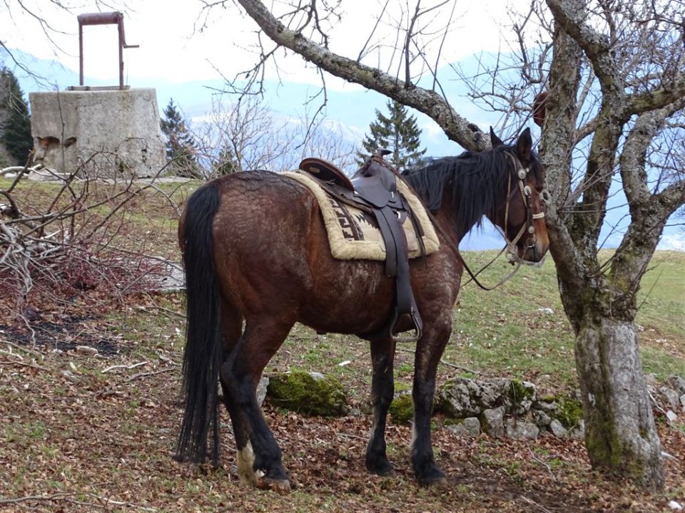 Predmeja-M.Gora-Kucelj-Čaven-Golaki-6.4.15 - foto povečava