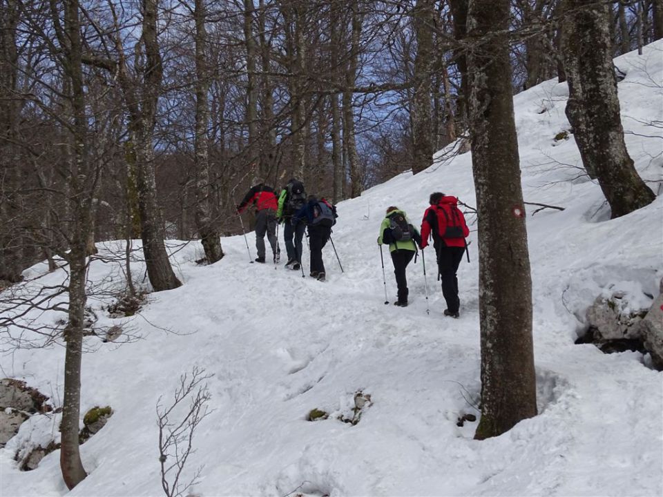 Predmeja-M.Gora-Kucelj-Čaven-Golaki-6.4.15 - foto povečava