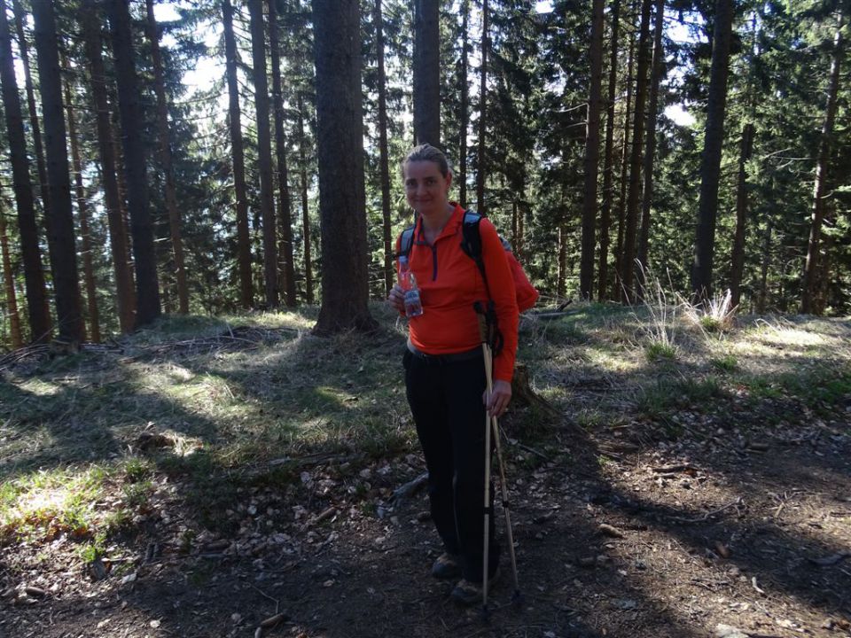 Črnivec-Lepenatka-Veliki Rogatec-26.4.2015 - foto povečava