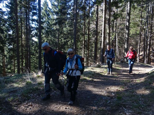 Črnivec-Lepenatka-Veliki Rogatec-26.4.2015 - foto