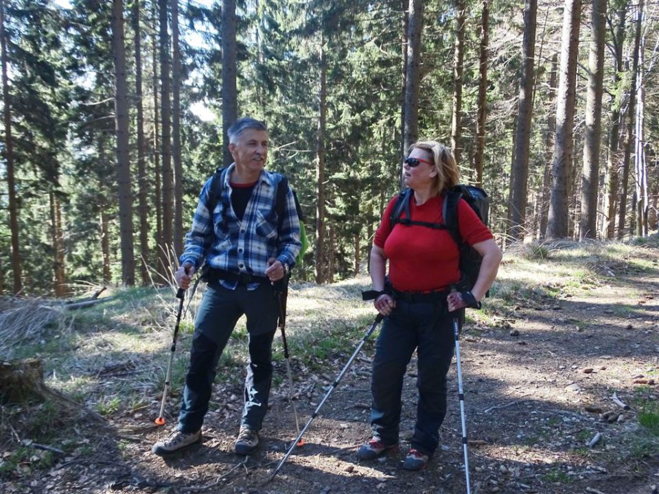 Črnivec-Lepenatka-Veliki Rogatec-26.4.2015 - foto povečava
