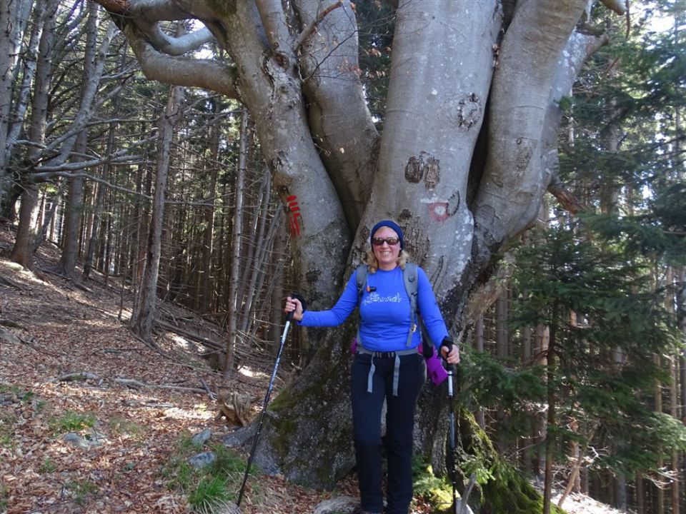 Črnivec-Lepenatka-Veliki Rogatec-26.4.2015 - foto povečava