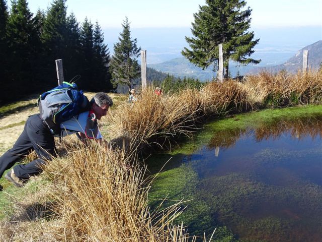 Črnivec-Lepenatka-Veliki Rogatec-26.4.2015 - foto