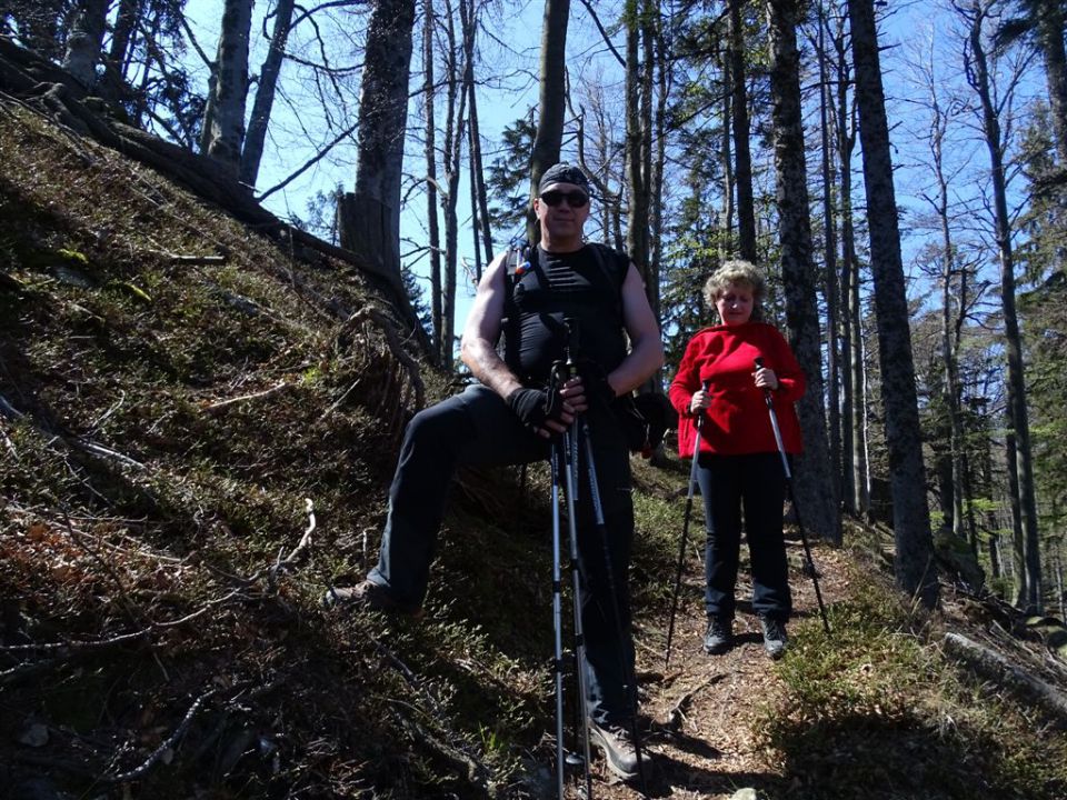 Črnivec-Lepenatka-Veliki Rogatec-26.4.2015 - foto povečava