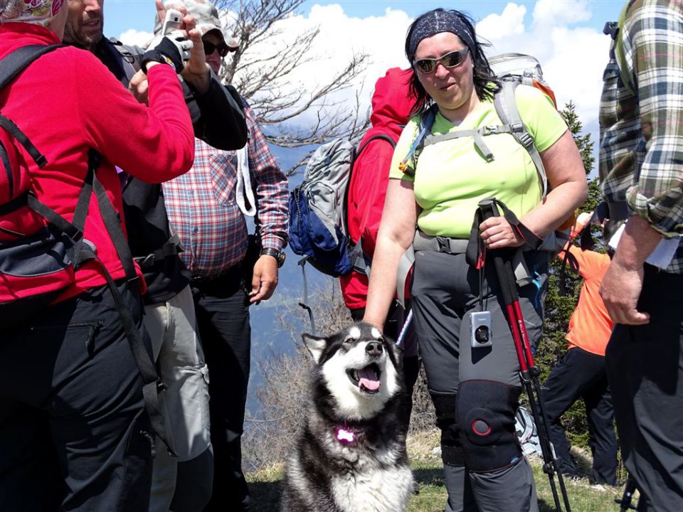 Črnivec-Lepenatka-Veliki Rogatec-26.4.2015 - foto povečava