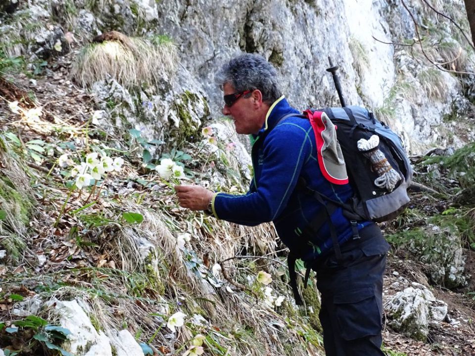 Črnivec-Lepenatka-Veliki Rogatec-26.4.2015 - foto povečava