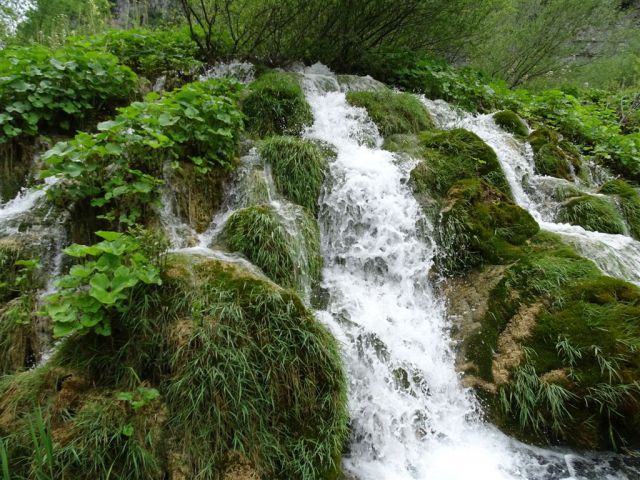 NP (Paklenica) in Plitvice - 17.5.2015 - foto