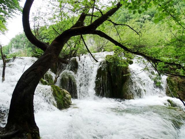 NP (Paklenica) in Plitvice - 17.5.2015 - foto