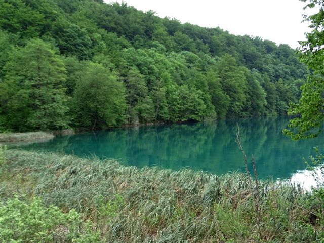 NP (Paklenica) in Plitvice - 17.5.2015 - foto