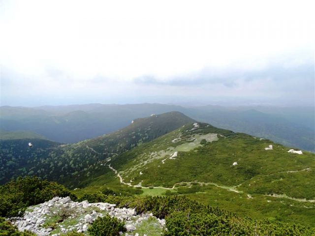 Sviščaki-Veliki Snežnik-31.5.2015 - foto