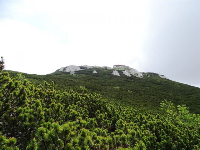 Sviščaki-Veliki Snežnik-31.5.2015 - foto