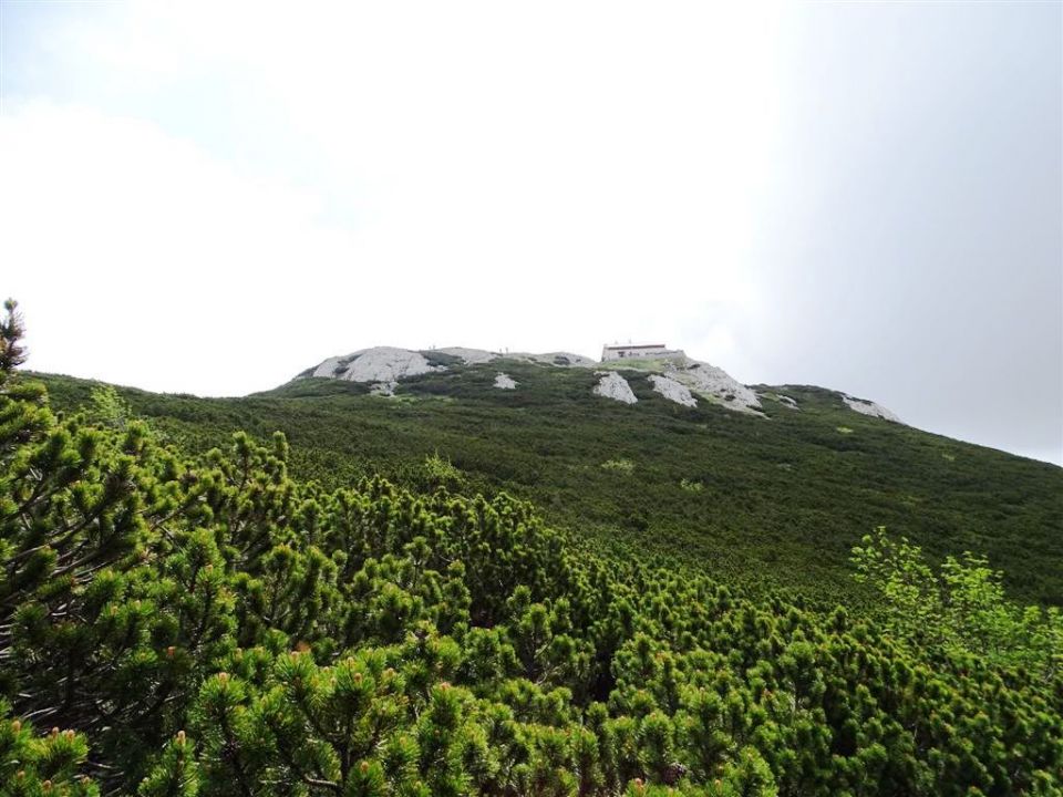 Sviščaki-Veliki Snežnik-31.5.2015 - foto povečava