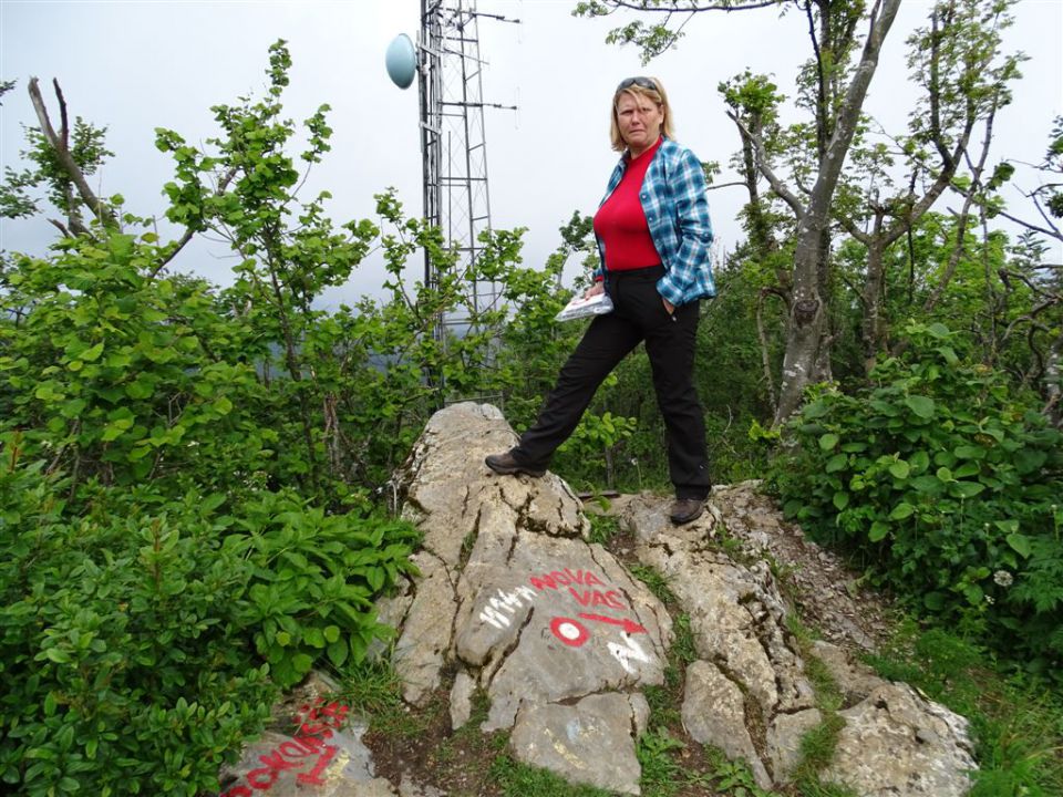 Sviščaki-Veliki Snežnik-31.5.2015 - foto povečava