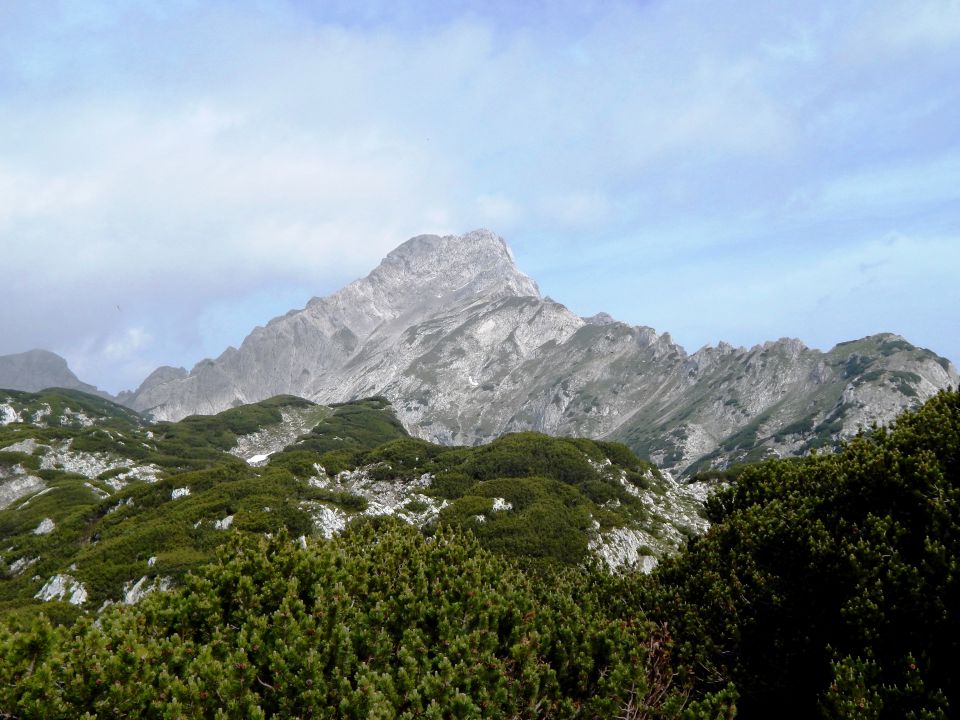 Podvežak-Ojstrica-Korošica-14.6.2015 - foto povečava