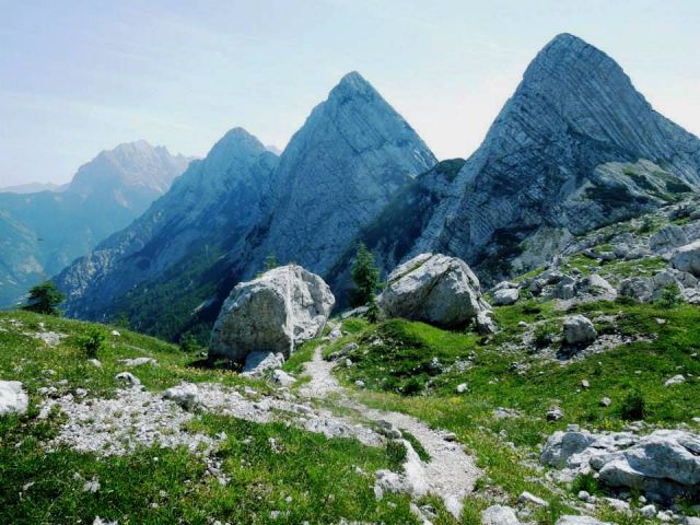 Flori-Bavški Grintavec-Soča-5.7.2015 - foto