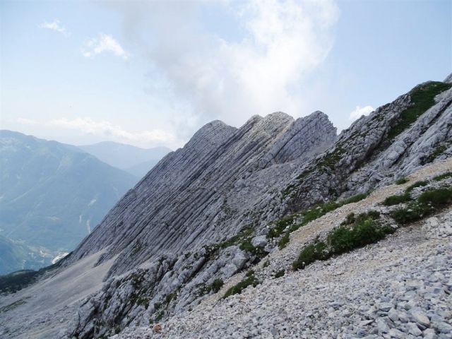 Flori-Bavški Grintavec-Soča-5.7.2015 - foto