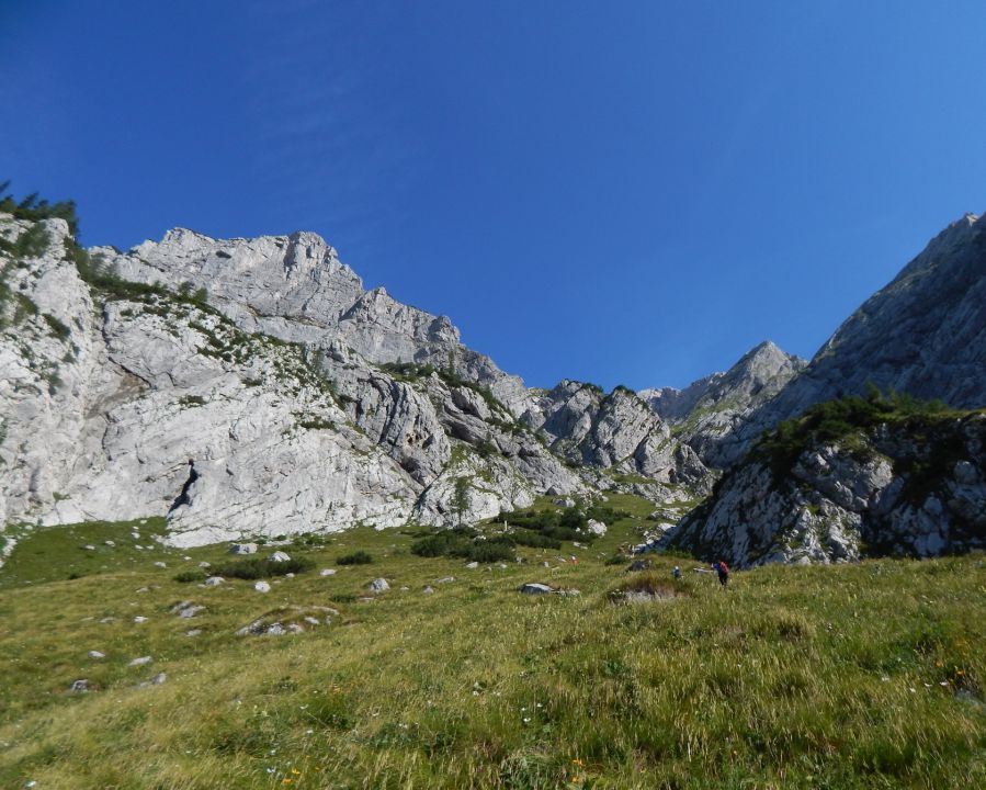 Gamsov skret-Skuta-Kokrsko s.-12.7.2015 - foto povečava