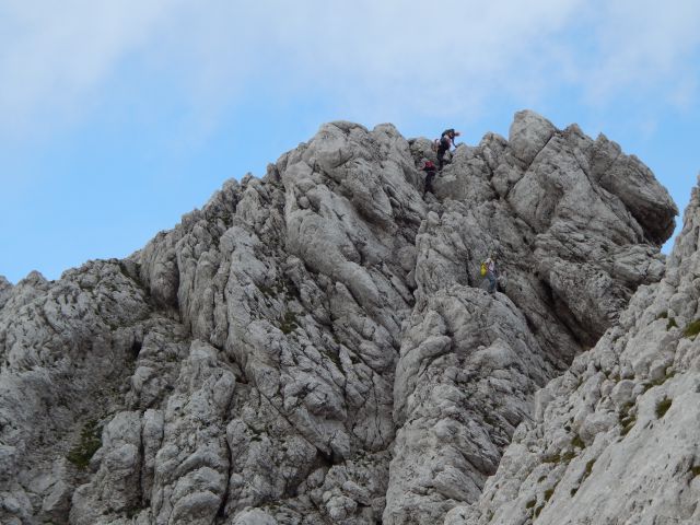 Gamsov skret-Skuta-Kokrsko s.-12.7.2015 - foto