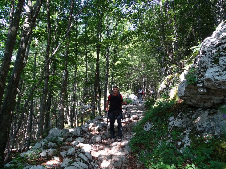 Savica-Krnska j.-Krn-Vogel-Bohinj-17.-19.7.15 - foto povečava