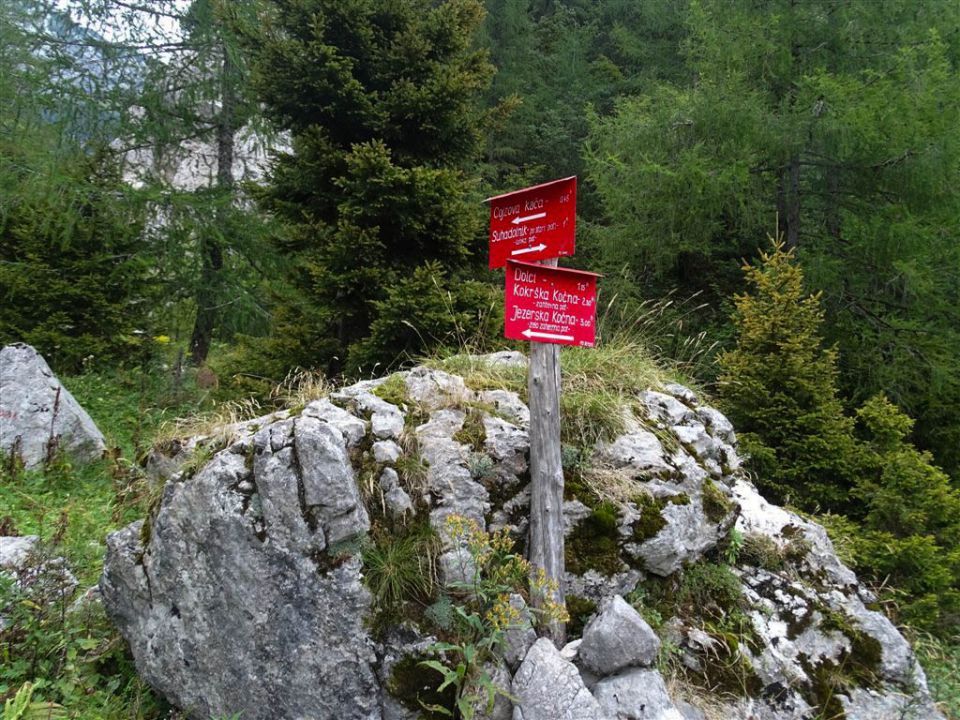 Suhadolnik-Cojzova k.-Grintovec-15.8.2015 - foto povečava