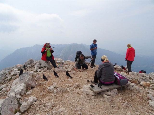 Suhadolnik-Cojzova k.-Grintovec-15.8.2015 - foto