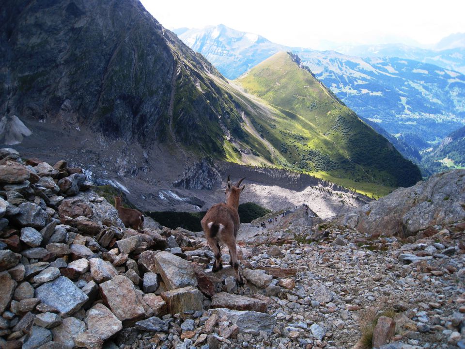 Nid d'aigle-goûter-mont blanc(4810m)-21.8.15 - foto povečava