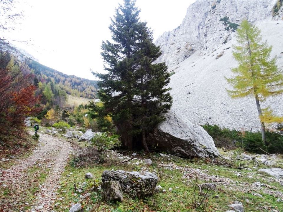 Pl.Korošica-Veliki vrh-Kofce-18.10.2015 - foto povečava