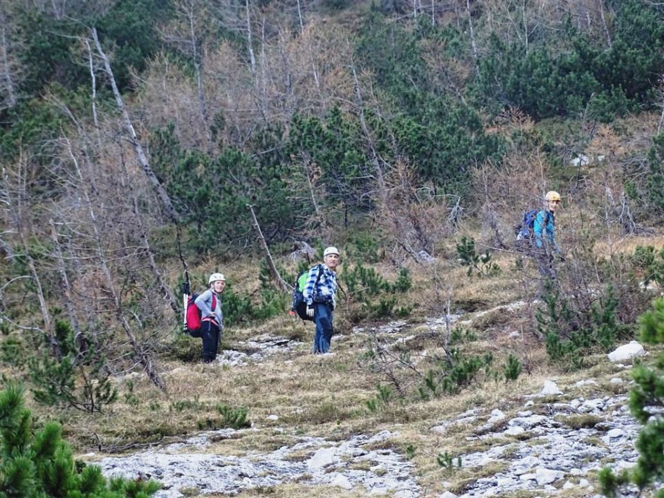 Ledine-V.Kor.Baba-Jenkova pl.-15.11.15 - foto povečava